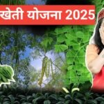 Moringa Kheti Yojana 2026 : рдкреВрд░реА рдЬрд╛рдирдХрд╛рд░реА рдФрд░ рд▓рд╛рдн Moringa Kheti Yojana 2025