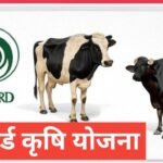NABARD Krishi Loan Yojana 2026 тАУ ЁЯзСтАНЁЯМ╛ рдХрд┐рд╕рд╛рдиреЛрдВ рдХреЗ рд▓рд┐рдП рдирдИ рдЙрдореНрдореАрдж NABARD Krishi Loan Yojana 2025