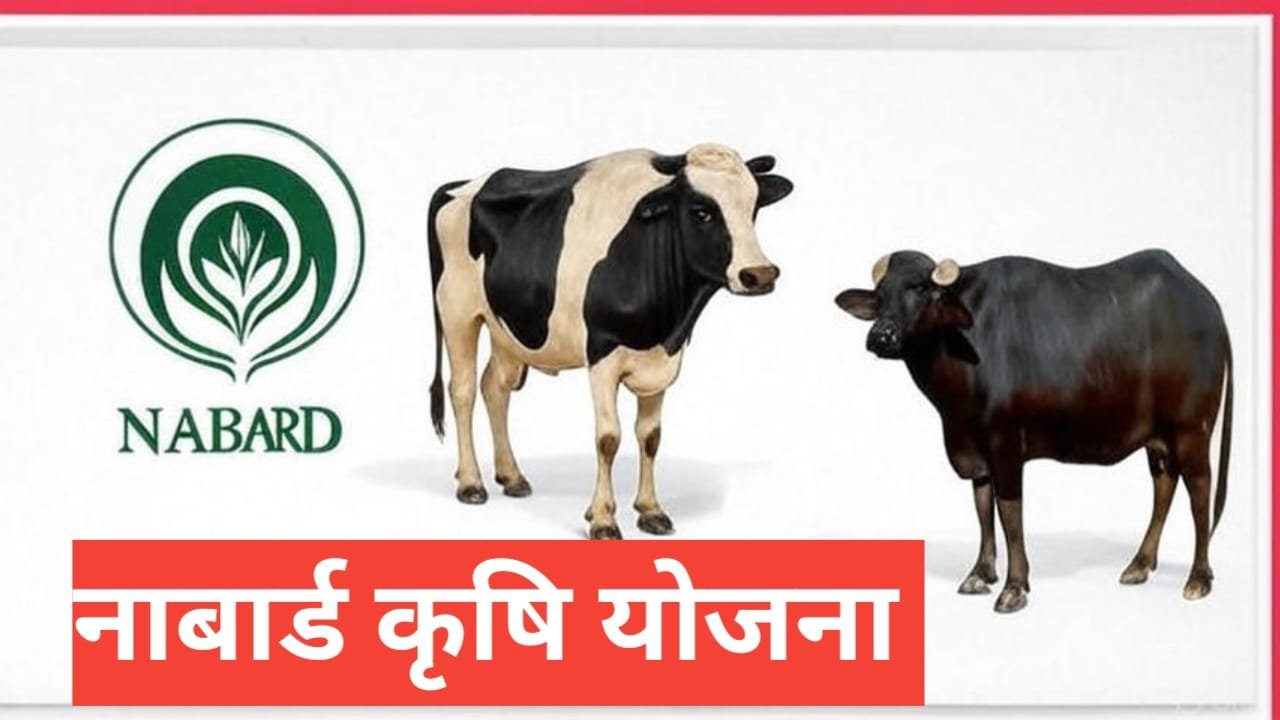 NABARD Krishi Loan Yojana 2025 NABARD Krishi Loan Yojana 2025