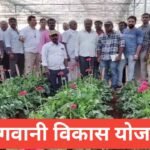 Bagwani Vikas Yojana 2026 тАУ рдХрд┐рд╕рд╛рдиреЛрдВ рдХреЛ рдорд┐рд▓реЗрдЧрд╛ рд╕рдмреНрд╕рд┐рдбреА рдкрд░ рдмрд╛рдЧрд╡рд╛рдиреА┬а | рдЖрд╡реЗрджрди рдкреНрд░рдХреНрд░рд┐рдпрд╛, рдкрд╛рддреНрд░рддрд╛ рдФрд░ рд▓рд╛рдн Bagwani Vikas Yojana